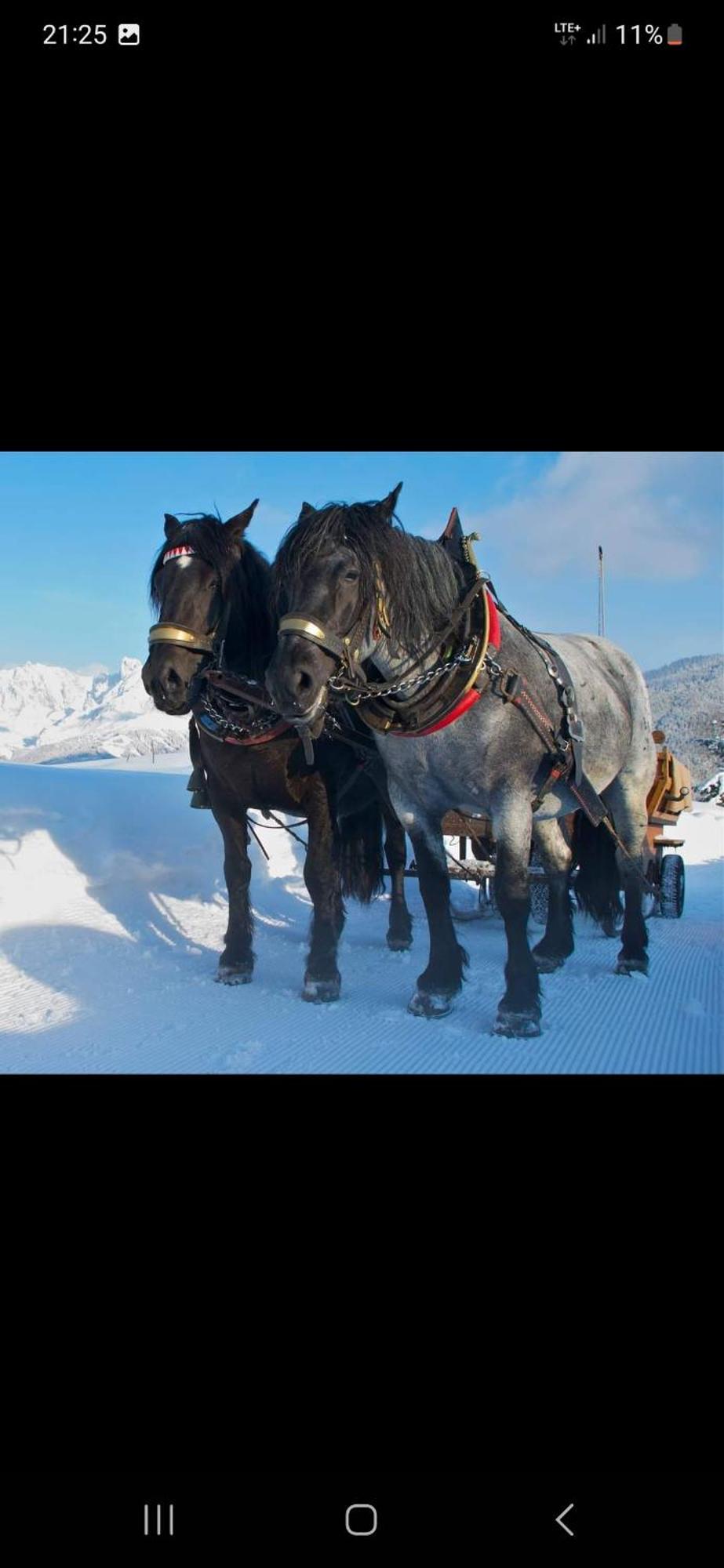 Apartmán Bergliebe Sankt Martin am Tennengebirge Exteriér fotografie