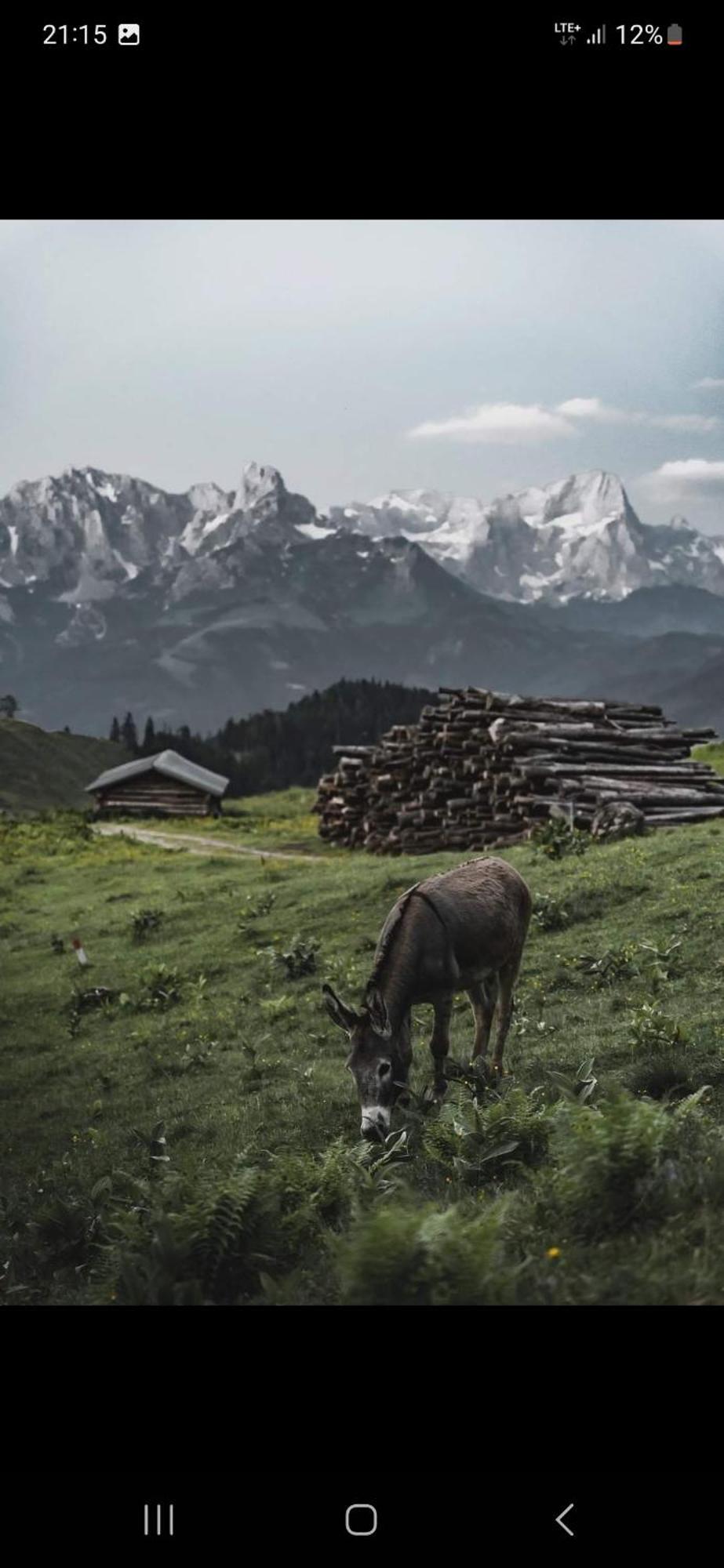Apartmán Bergliebe Sankt Martin am Tennengebirge Exteriér fotografie
